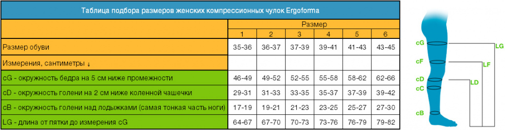 podbor-razmera-chulok-ergoforma (1).jpg