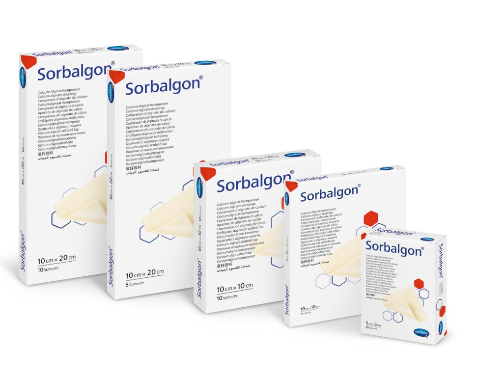 sorbalognnn.jpg