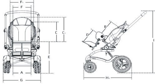 stingray2.jpg