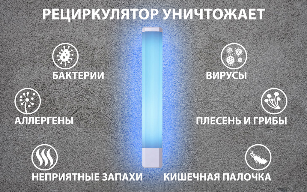 рец.jpg