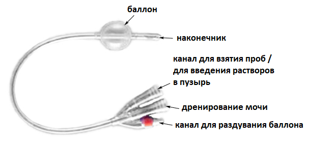 Найти По Фото Медицинские Котекторы