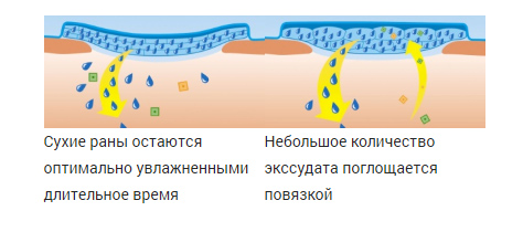 Без имени-4.jpg