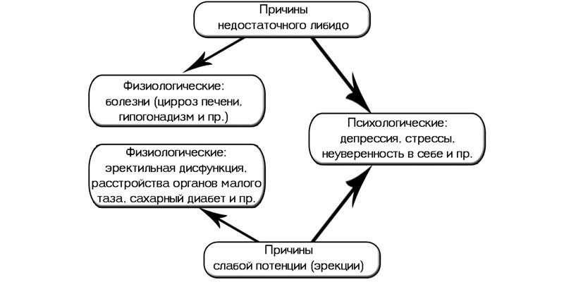 Я не хочу тратить так много времени на купить виагра. А ты?