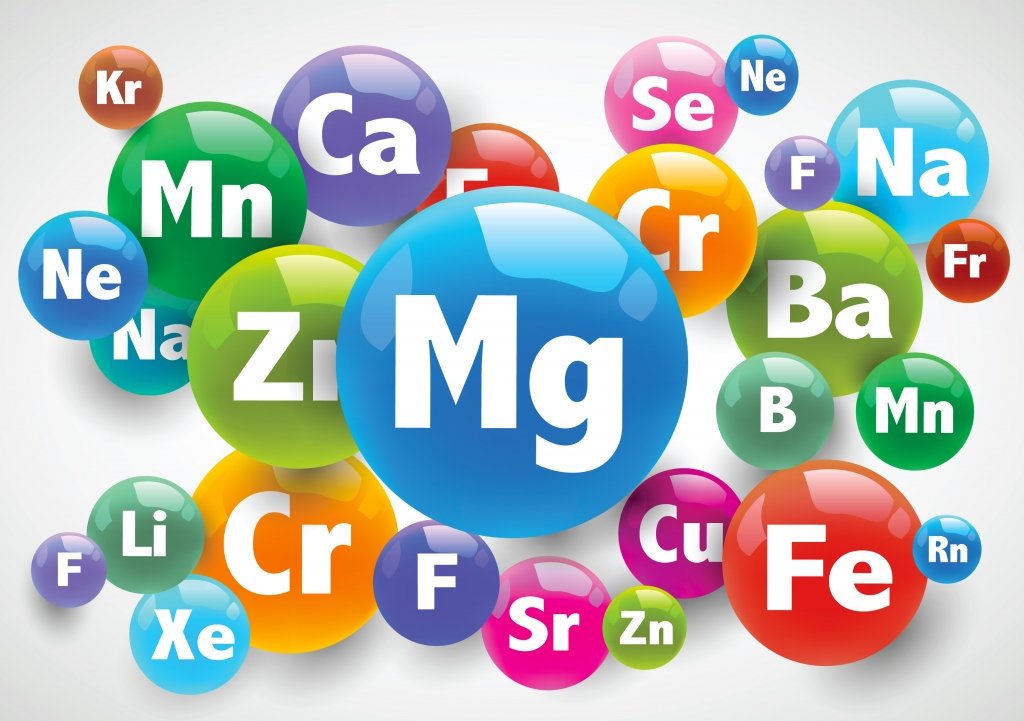 sostav-dyni-obogaschen-vazhnymi-vitaminami-i-mikro.jpg