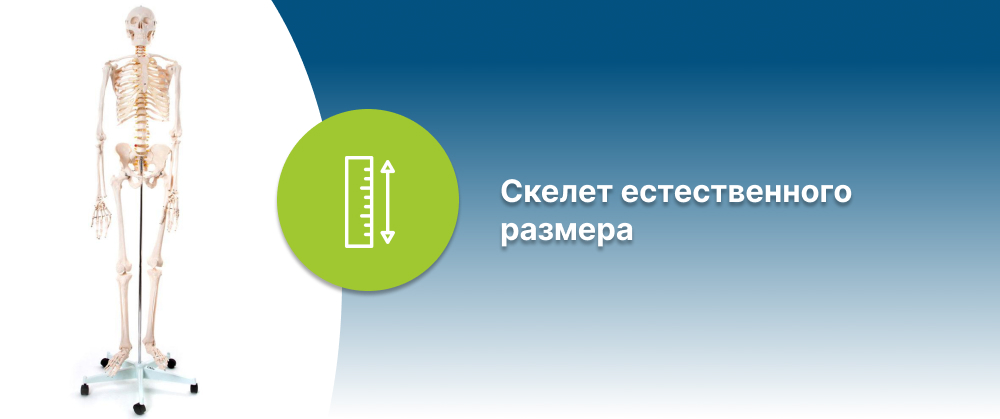 Стандарт - 1 Слайд -5-4.jpg