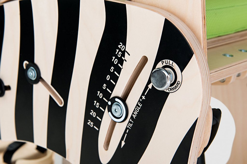 Zebra_invento_dop-3.jpg