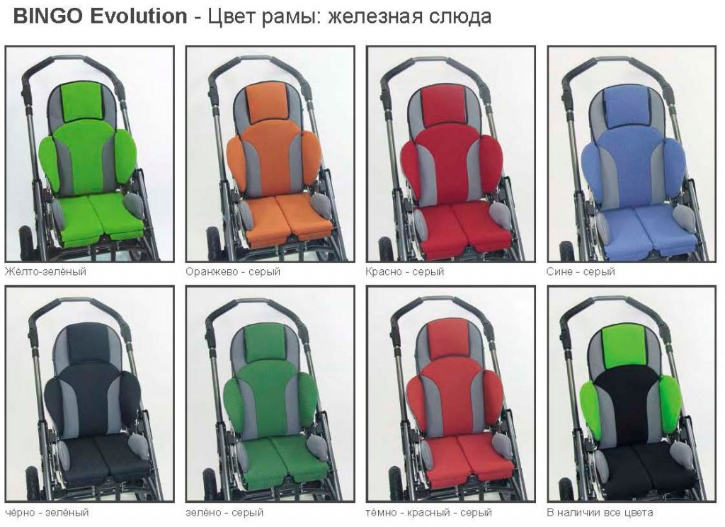 HOGGI BINGO Evolution