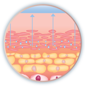 US_Medica_Hyaluronic-2.png