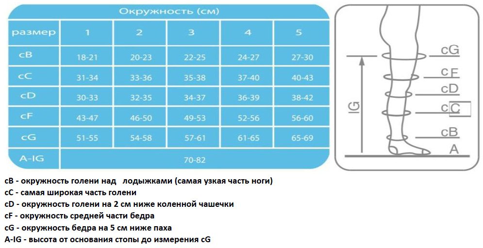 Компрессионные чулки для операции мужские размеры. Чулки компрессионные Ergoforma Размерная сетка eu 217 Размерная сетка. Чулки Эргоформа eu212. Чулки компрессионные Ergoforma Размерная сетка. Чулки Ergoforma 217 Размерная сетка.