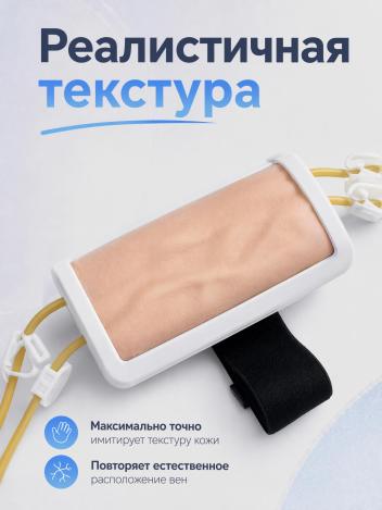 Тренажер симулятор для отработки внутривенных инъекций и инфузионных проколов