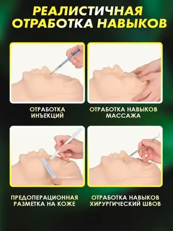 Анатомическая модель головы с костью для инъекций
