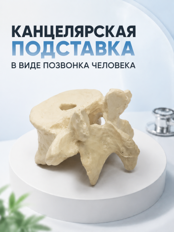 Подставка канцелярская настольная для ручек подарок врачу