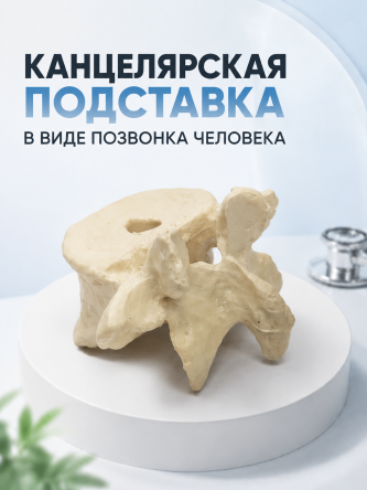 Купить Подставка канцелярская настольная для ручек подарок врачу 1