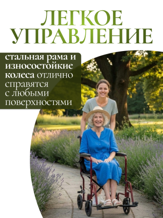 Купить Инвалидная кресло-каталка Foshan D9 43 см 3