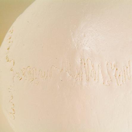 Купить Модель черепа с шейными позвонками A018 3