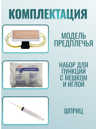 Купить Модель предплечья для венозных пункций на ремне 2