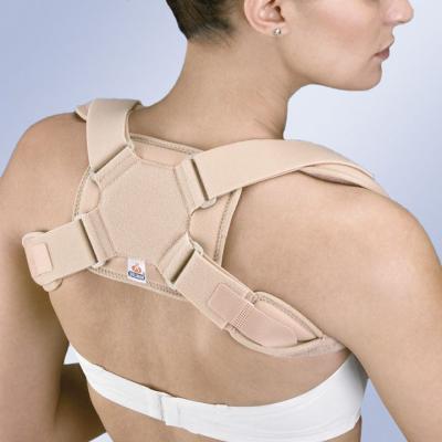 Купить Реклинатор для фиксации плечевого сустава (ключицы) для взрослых IC-30 Orliman