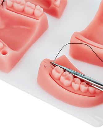 Купить Тренажер для наложения швов в полости рта Retorsa 7