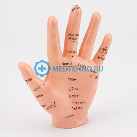 Купить Кисть руки 13cm XC-509 0