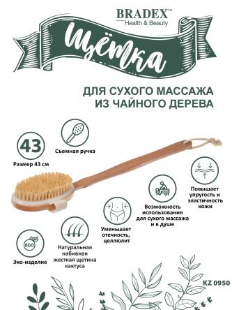 Купить Щетка для сухого массажа из чайного дерева с щетиной из кактуса со съемной ручкой 43 см KZ 0950 2