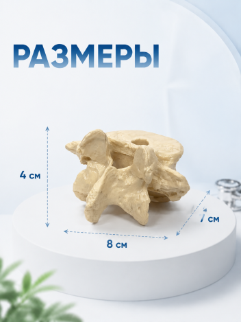 Подставка канцелярская настольная для ручек подарок врачу