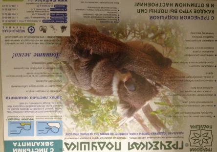 Купить "Греческая подушка" с листьями эвкалипта в футляре 1