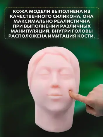Анатомическая модель головы с костью для инъекций
