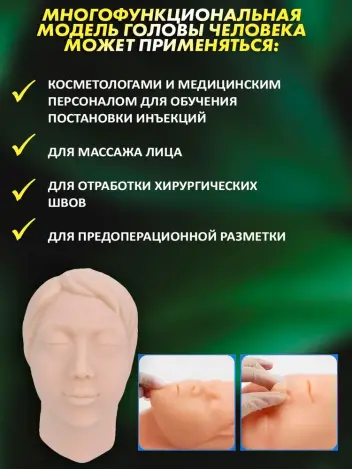 Анатомическая модель головы с костью для инъекций