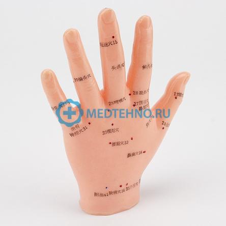 Купить Кисть руки 13cm XC-509 1