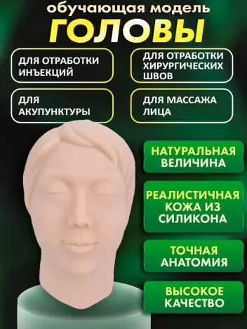 Анатомическая модель головы с костью для инъекций